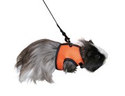 Rodent Harness Sport