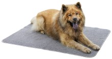 Anti-slip Thermal Carpet