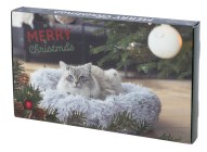Advent calendar for cats