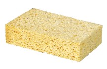 Sponge